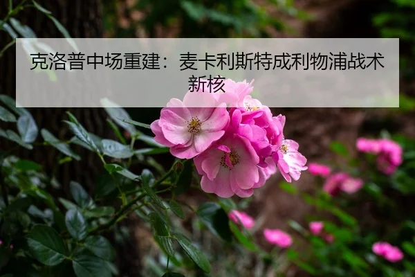 ke-luo-pu-zhong-chang-chong-jian-mai-ka-li-si-te-cheng-li-wu-pu-zhan-shu-xin-he-3-140.jpg