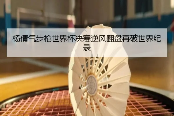 yang-qian-qi-bu-qiang-shi-jie-bei-jue-sai-ni-feng-fan-pan-zai-po-shi-jie-ji-lu-3-324.jpg