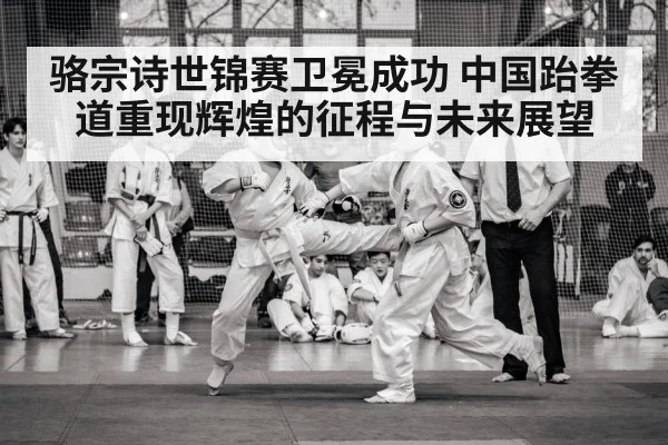 骆宗诗世锦赛卫冕成功 中国跆拳道重现辉煌的征程与未来展望