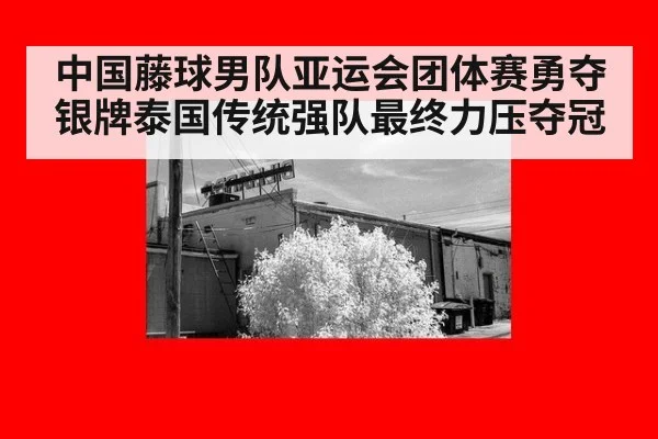 中国藤球男队亚运会团体赛勇夺银牌泰国传统强队最终力压夺冠
